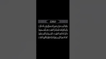 اكتب شيء تؤجر عليه #quran #القرآن_الكريم #مشاري_العفاسي #سورة_محمد