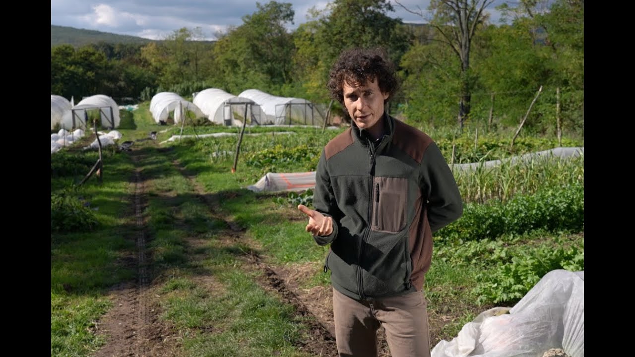 Szilágyi Alfréd - Pallagvölgyi Biokert, Kóspallag