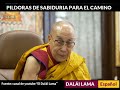 Pildoras de Sabiduria para el Camino:  Dalai Lama &quot;El Apego y la Aversión&quot;