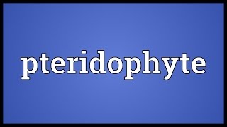 Pteridophyte Meaning