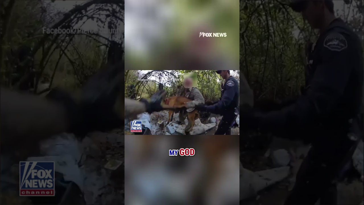 MONSTROUS ACT: Wanted man throws dog at law enforcement while trying to avoid arrest #shorts #news