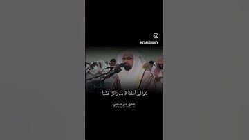 الشيخ ناصر القطامي 🥺 بتلاوة آيات من سورة يوسف 1437 من صلاة التراويح 🌙