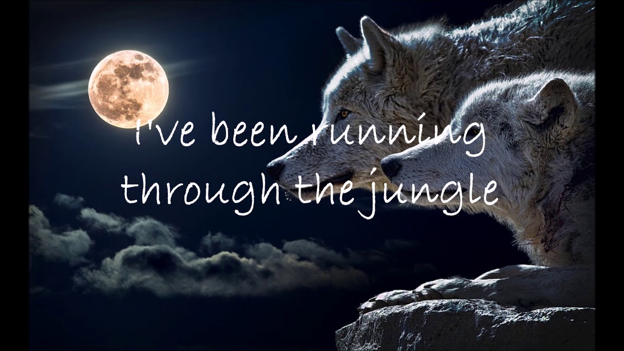 WOLVES SELENA GOMEZ (LYRICS) - YouTube