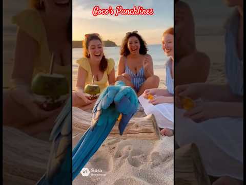 Coco S Walnuts Joke So Funny 