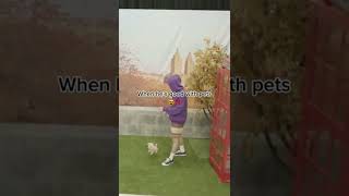 He's Great With Pets #bts #rm #namjoon #merch #dog #shorts