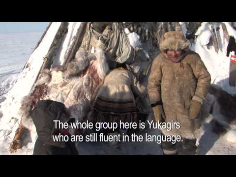 Video: Yukaghirs May Be Direct Descendants Of Hyperboreans - Alternative View