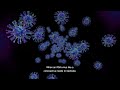 Infection and immunity masterclass: the virology of SARS-Cov2