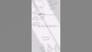 سورة البقرة 27-28 بصوت القارئ علي جابر #explore #quran #اجر_لي_ولك