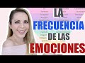 ¡ESTA INFORMACIÓN CAMBIARÁ TU VIDA! LA FRECUENCIA DE LAS EMOCIONES