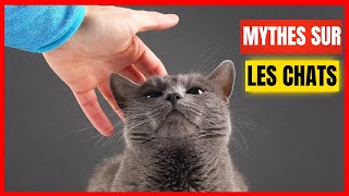 On DÉTRUIT 16 MYTHES sur les Chats ! (Surtout le #6!)