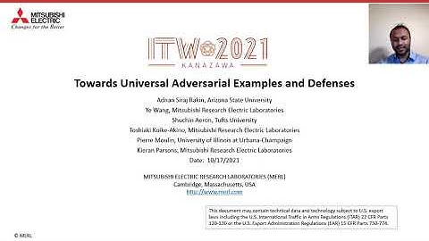 [ITW 2021] Towards Universal Adversarial Examples and Defenses