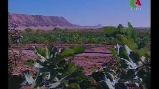 Illizi,epuration naturelle des eaux usées Algerie