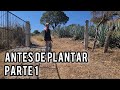 Algunos aspectos a considerar antes de plantar agaves: Parte 1