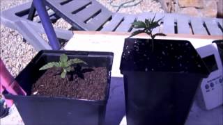 core sampling of soil