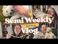 Semi weekly vlog  9  un petit chiot  la maison 