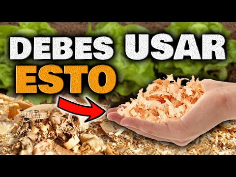 Video: Uso de cedro como mantillo: beneficios y problemas del mantillo de cedro triturado