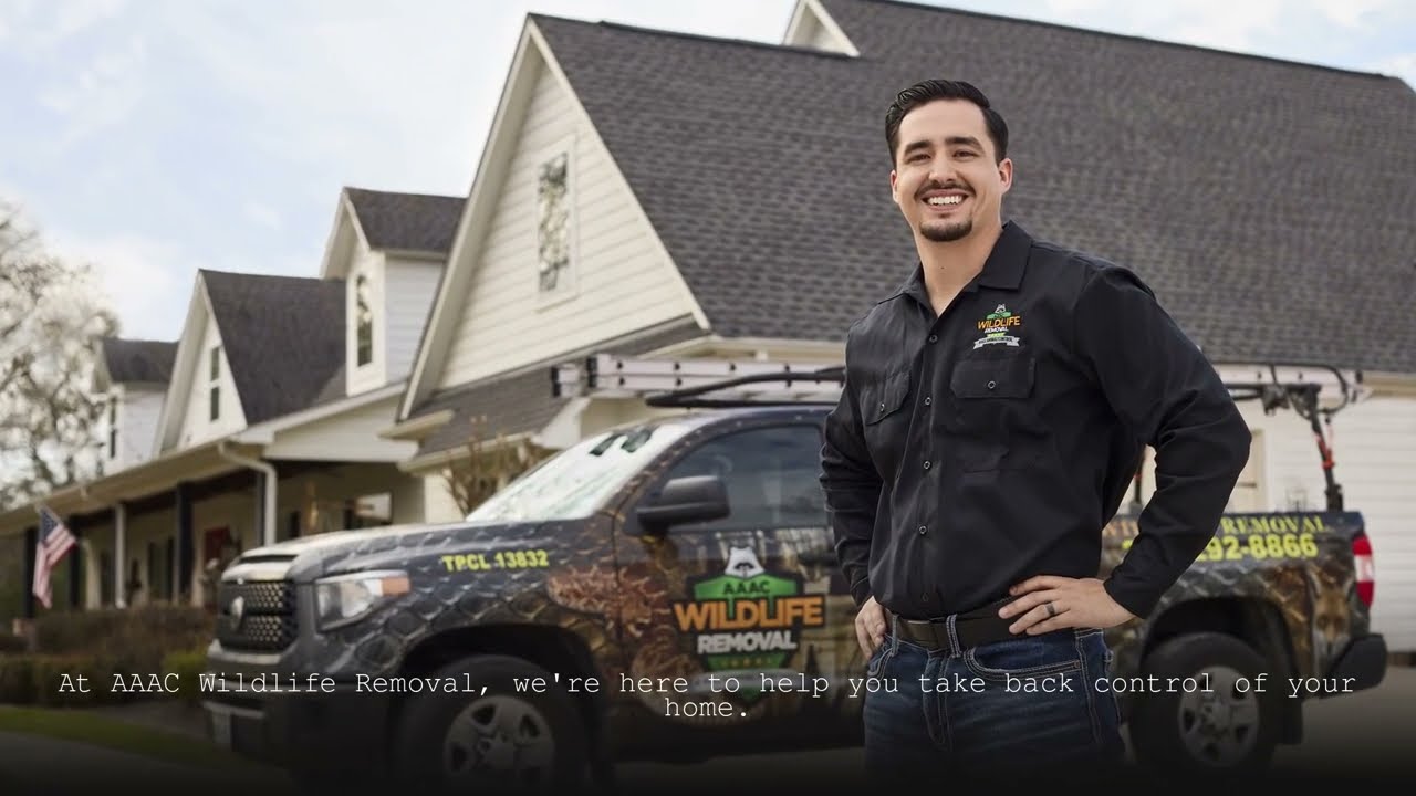 AAAC Wildlife Removal of Fort Worth - AAAC Wildlife Removal Southlake