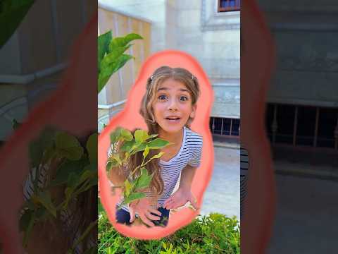 اغنية بالورينا كابتشينا مع ايمان والبنات إيمان وماشا
