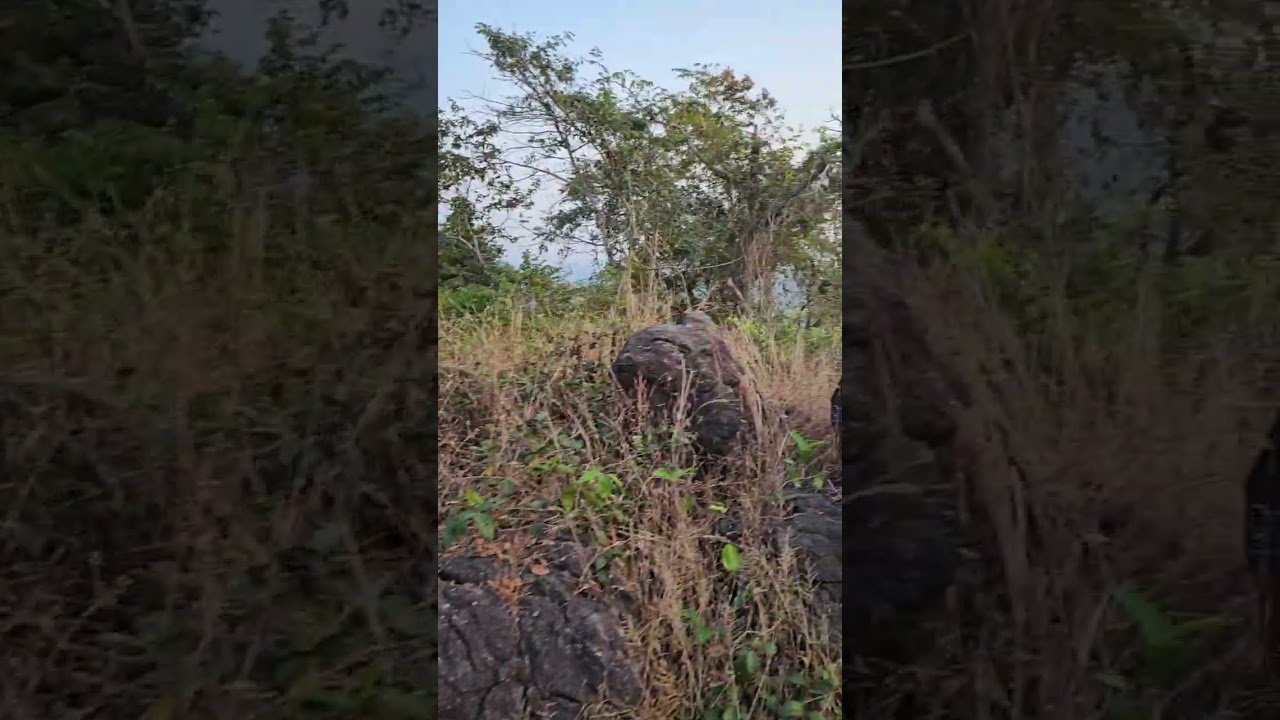 Granite Rock outcrop