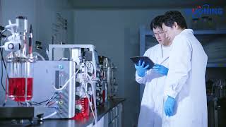 Unlocking Efficiency: Duoning’s High-Performance Bioreactor Systems