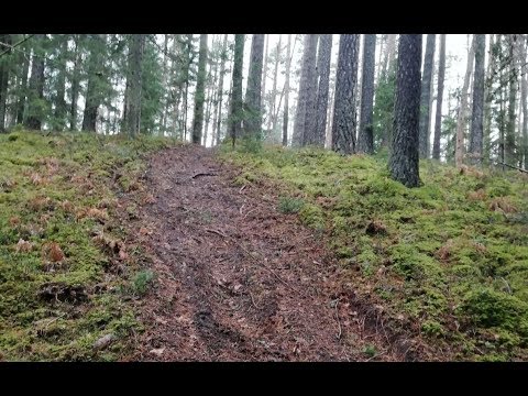 Video: Kā Identificēt 