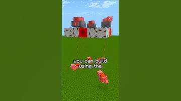 Pig Carousel in Minecraft