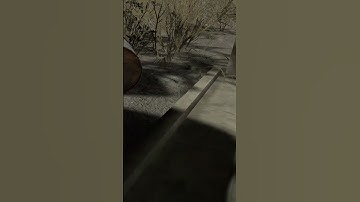 I like how smooth this looks #intotheradius #vr #funny #survival #series #giveaway #memes