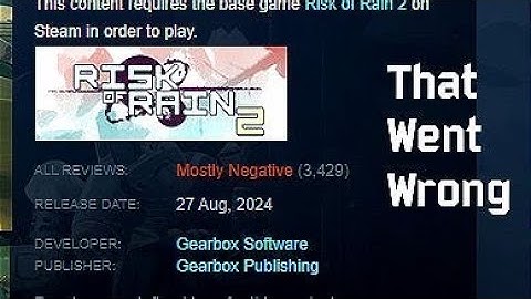 Risk of Rain 2 PSA: Seekers of the Storm Experience™️