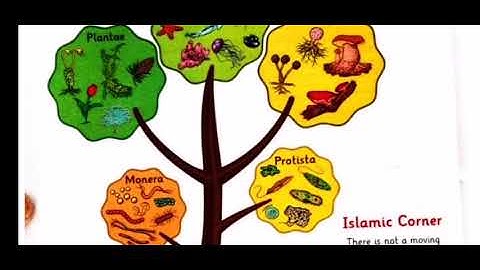 How to teach science #guide ||afaq iqbal series science  new edition class 5th page 1 to 8