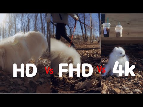 4k vs FHD vs HD 이 영상으로 종결해 볼게요