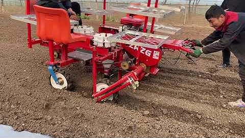 3-row self-propelled seedling transplanter