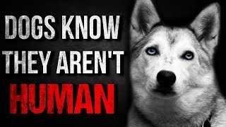 'Dogs Know They Aren't Human' Creepypasta