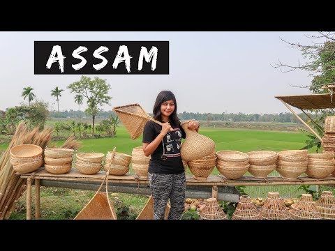 NAMERI NATIONAL PARK - Assam Travel Vlog | North East India Vlog #1 | Kritika Goel