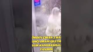 Kuaförden Çıkan 3 Kadının Yaşadığı Dram Işletmenin Güvenlik Kamerasına Böyle Yansıdı Şfet