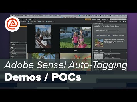 A@A Demos - Adobe Sensei Auto-Tagging