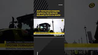 Бунт фермеров в Лондоне: недовольство вызвали большие налоги на землю #shorts #shortsfeed #shortvid