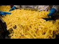 시원한 대량생산 ! 볼수록 신기한 대량생산 현장 ! 어묵, 감자튀김 | Various Korean Food Mass Production Process | Korean Food