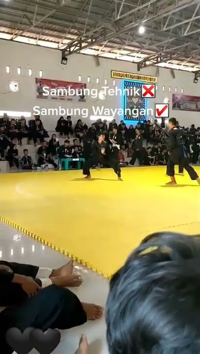 PSHT SAMBUNG GERAKAN WAYANG || STORY WA PSHT KEREN