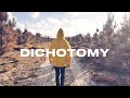 SLUMBERJACK DICHOTOMY Full Album Visualizer mp3