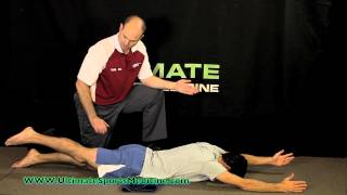 Opposite Arm Leg Raises & Swimming