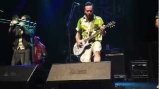 Watch Reel Big Fish In The Pit video