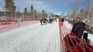 Forget Horse Power, Don’t Miss Out on Uinta Mountains Dog Sled Power #sleddogs #uintas #winter #2026