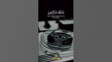 تلاوة خاشعة من سورة الفتح ☝️ #اكسبلور #تلاوة_خاشعة #القرآن_الكريم #الجزائر #لايك #القران_الكريم