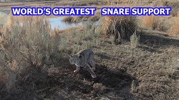 TRAPPING TIPS- Worlds Greatest Snare Support Sytem