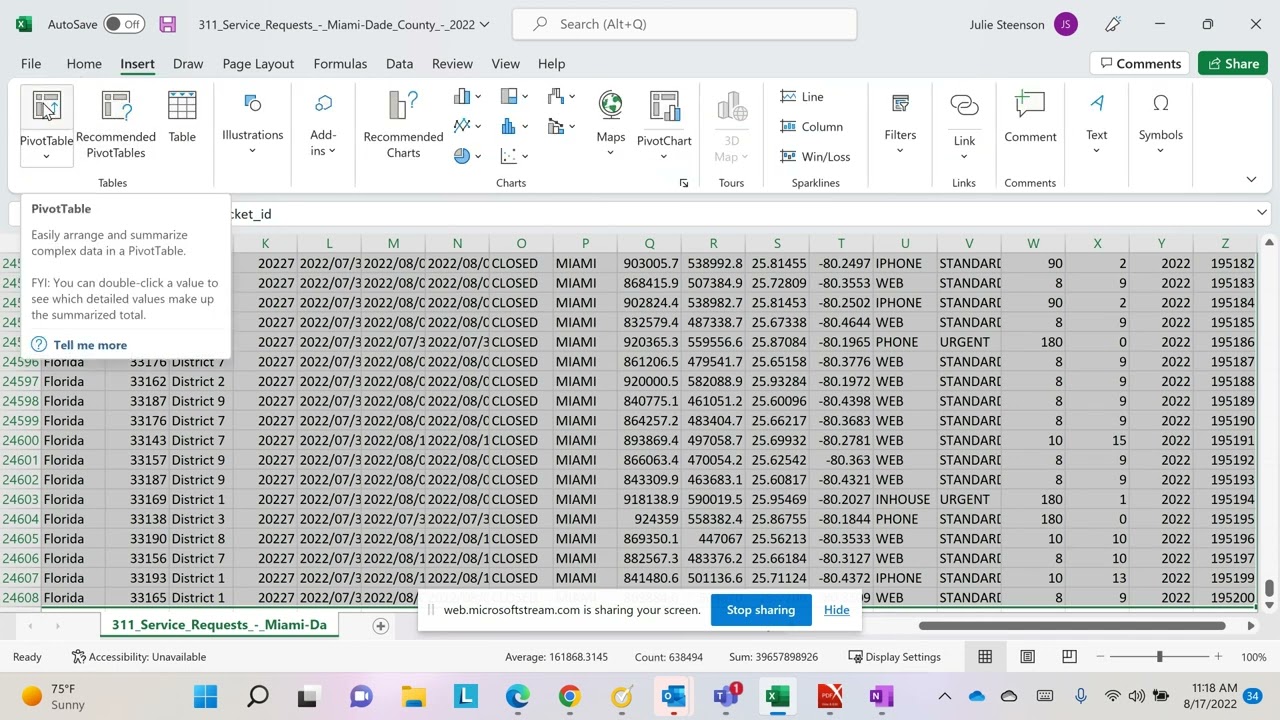 Pivot Tables: you can do them too.