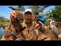 The Strangest Creatures I Encountered In Fayoum 