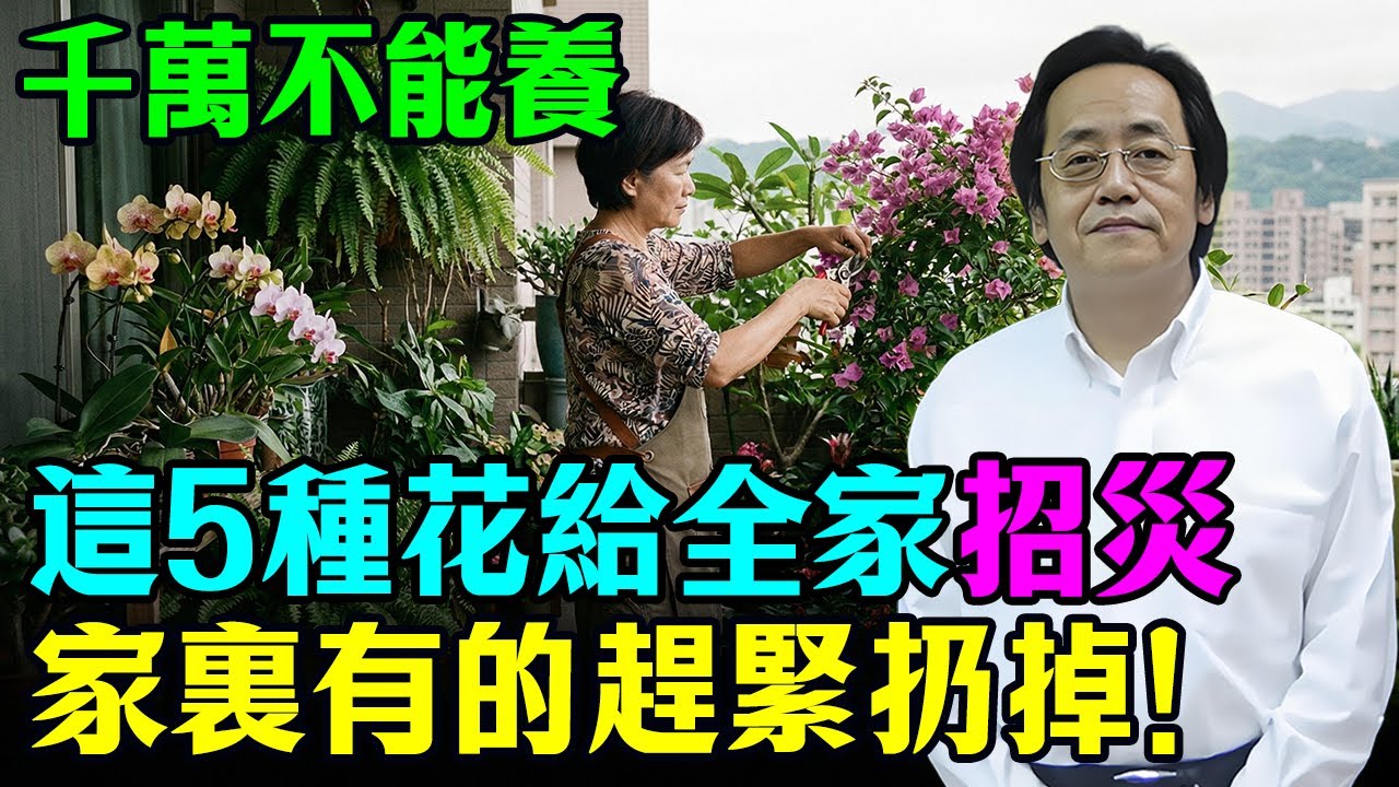 倪海廈：這5種招災花，家裡千萬不能養！小心黴運找上門，三代都受窮！看看你家有沒有？#倪海廈 #易經 #居家風水#破財 #家運  #植物風水  #轉運 #2026運勢 #開運 #春節