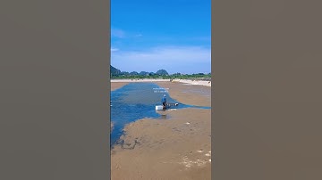 Ai nuôi tôm nhìn cái biết ngay ao nhà mình đang làm gì😉🦐#VũĐứcThiện #ViệtÚc