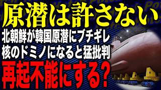 【ファビョのドミノ🍕コケる戦艦vs潜れない潜水艦❗❓原潜ソウルにちゃぷちゃぷやってきたー🥶】北朝鮮が韓国原潜にブチギレ！？金正恩側が韓国に「原潜は許さない」←いやいや待てｗ