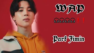 [FMV] JIMIN - WAP